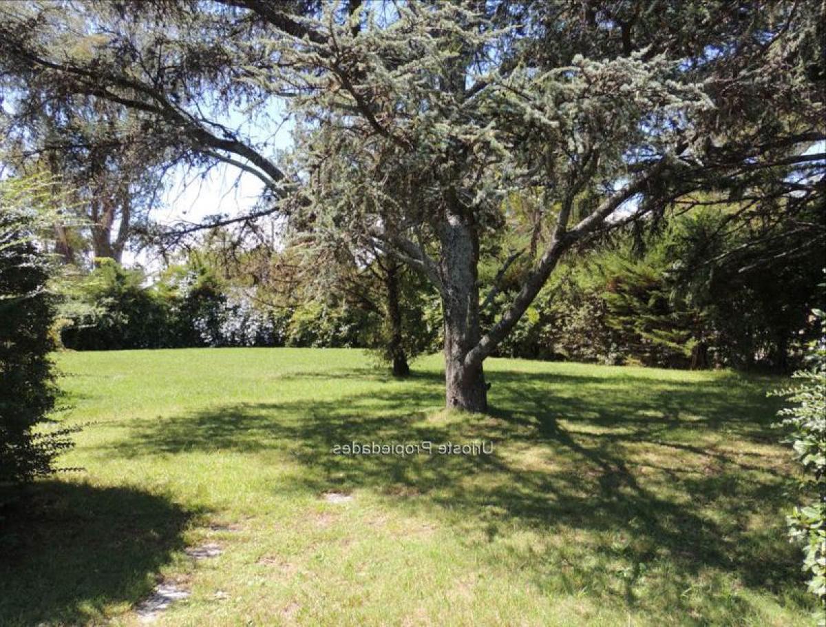 7 bedrooms House in Montevideo, Uruguay No. 1970