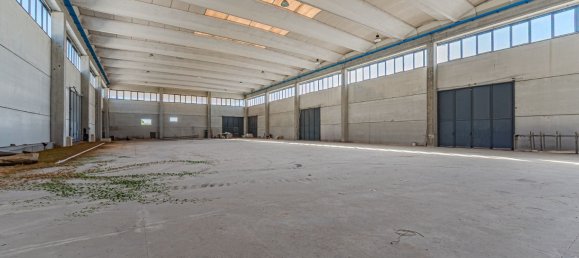 2000m² Warehouse in Massa, Italy No. 303816 12