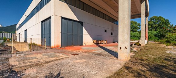 2000m² Warehouse in Massa, Italy No. 303816 19