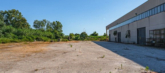 2000m² Warehouse in Massa, Italy No. 303816 45