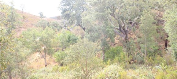 Terreno em Silves, Portugal 26860 m² N.º 43850 3