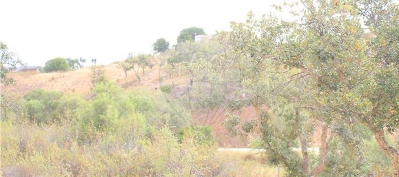 Terreno em Silves, Portugal 26860 m² N.º 43850 4