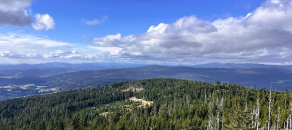 قطعة أرض في Schwarzenberg am Bohmerwald, Austria 180متر مربع رقم 162433 22