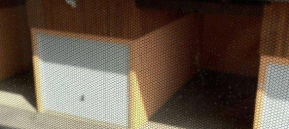 2 bedrooms Apartment in Pflach, Austria No. 149278 14