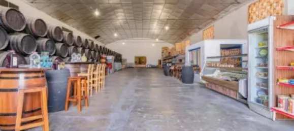  مستودع في Alhendin, Spain 1355متر مربع رقم 155511 36