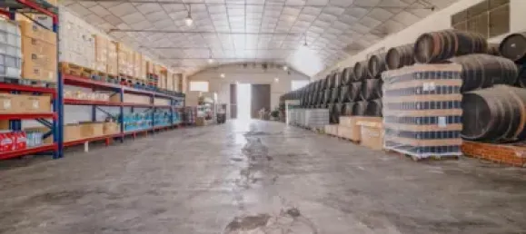  مستودع في Alhendin, Spain 1355متر مربع رقم 155511 39