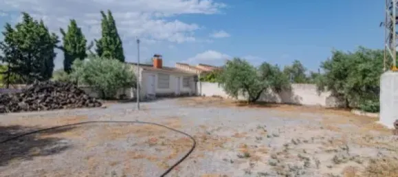 مستودع في Alhendin, Spain 1355متر مربع رقم 155511 26