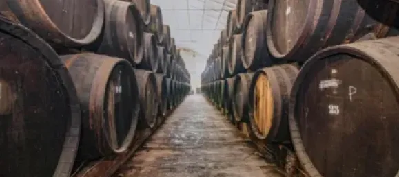  مستودع في Alhendin, Spain 1355متر مربع رقم 155511 4