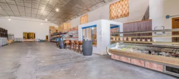  مستودع في Alhendin, Spain 1355متر مربع رقم 155511 37