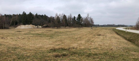 32000m² Land in Litschau, Austria No. 163482 7