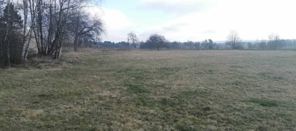 32000m² Land in Litschau, Austria No. 163482 11