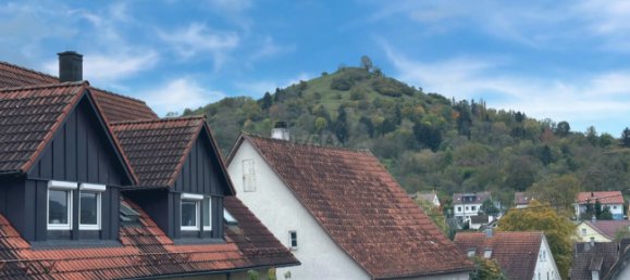 7 bedrooms Building in Baden-Wurttemberg, Germany No. 20757 4