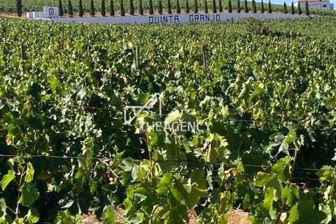  Land in Alijo, Portugal No. 240635