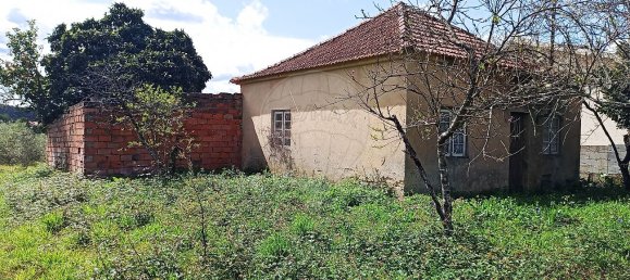 2 Schlafzimmer Haus in Avelas de Cima, Portugal, Nr. 47420 4