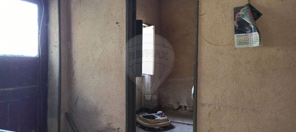 2 Schlafzimmer Haus in Avelas de Cima, Portugal, Nr. 47420 3