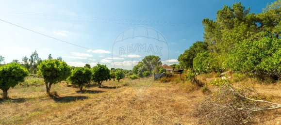 Casa de 2 dormitorios en Abrantes, Portugal No. 164762 12