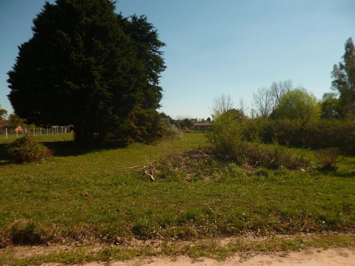  Land in Buenos Aires, Argentina No. 113458