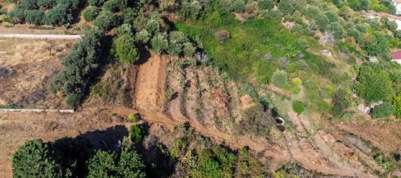 4063m² Land in Campofelice di Roccella, Italy No. 275530 6