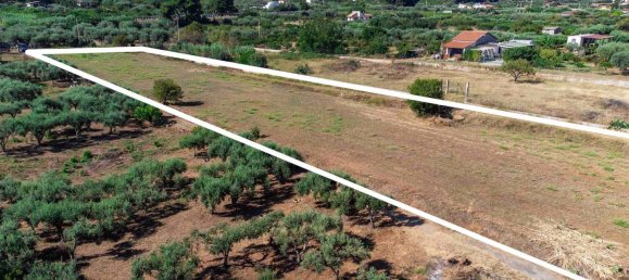 4063m² Land in Campofelice di Roccella, Italy No. 275530 8