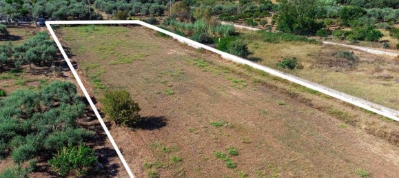 4063m² Land in Campofelice di Roccella, Italy No. 275530 9
