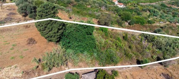 4063m² Land in Campofelice di Roccella, Italy No. 275530 7