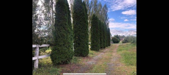 2-salle Maison à Stegersbach, Austria No. 22344 14