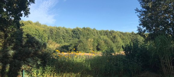 3-salle Bungalow à Dithmarschen, Germany No. 76778 9