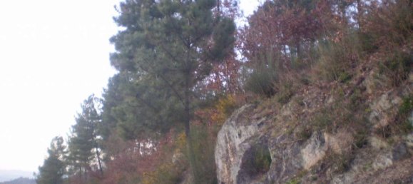 Terreno em Soalhães, Portugal N.º 57418 7