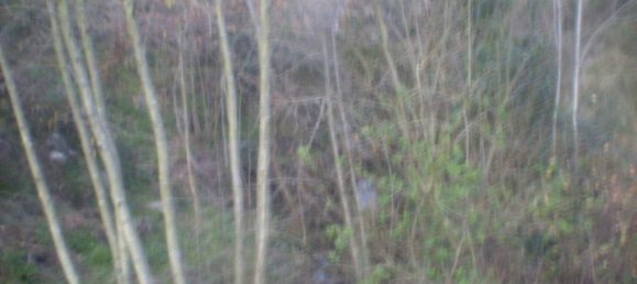 Terreno em Soalhães, Portugal N.º 57418 10