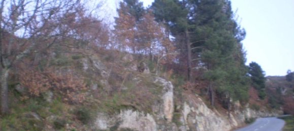 Terreno em Soalhães, Portugal N.º 57418 12