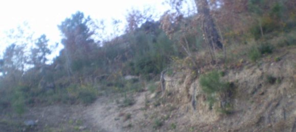 Terreno em Soalhães, Portugal N.º 57418 9