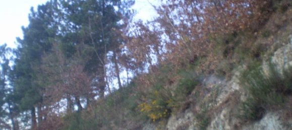 Terreno em Soalhães, Portugal N.º 57418 6