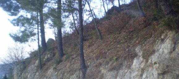 Terreno em Soalhães, Portugal N.º 57418 4