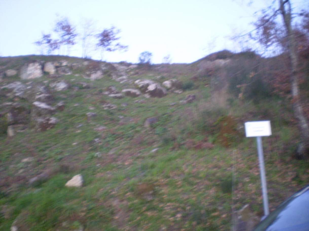 Terreno em Soalhães, Portugal N.º 57418