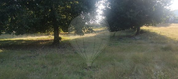 2014m² Land in Arcos de Valdevez, Portugal No. 58718 3