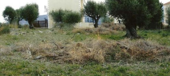 Terra em Kefalonia, Greece N.º 432 3