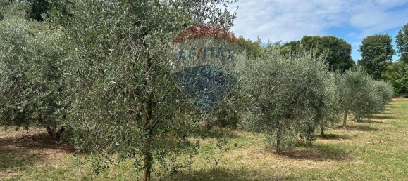  Land in Polpenazze del Garda, Italy No. 359623 3