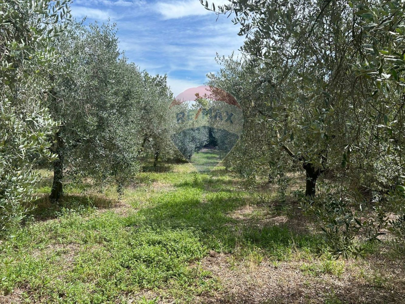  Land in Polpenazze del Garda, Italy No. 359623