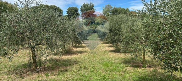  Land in Polpenazze del Garda, Italy No. 359623 4