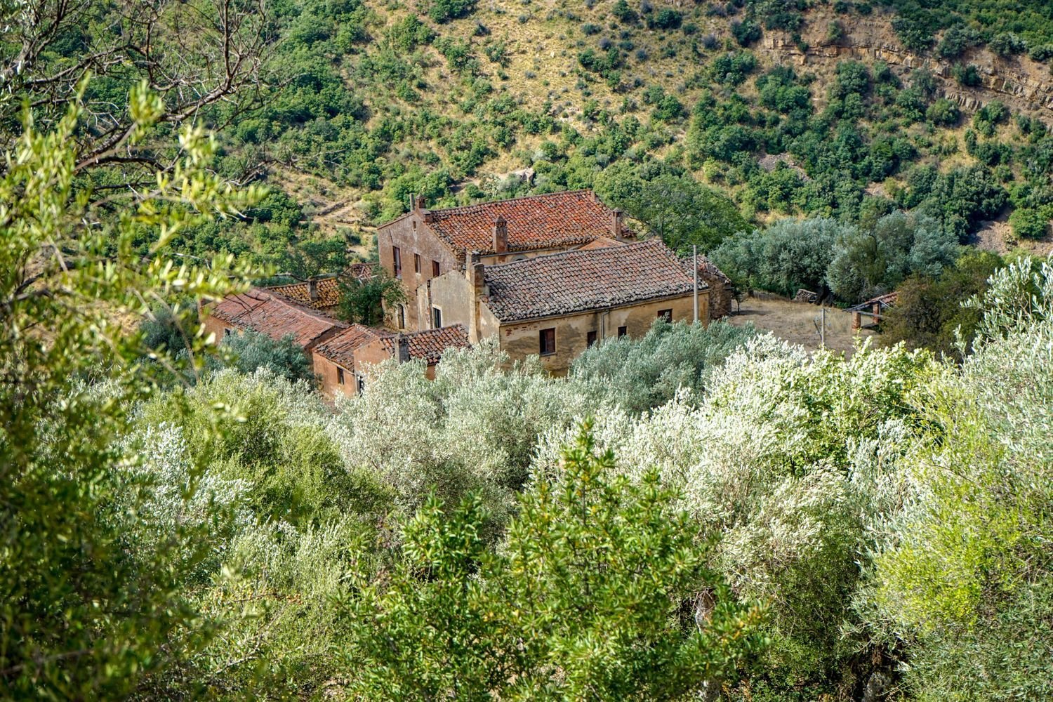 Дом с 20 комнатами в Сан Мауро Кастельверде, Италия № 276161