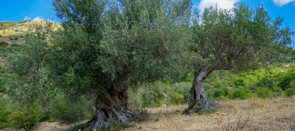 Дом с 20 комнатами в Сан Мауро Кастельверде, Италия № 276161 8