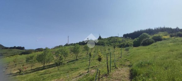 11000m² Land in Potenza, Italy No. 237625 17