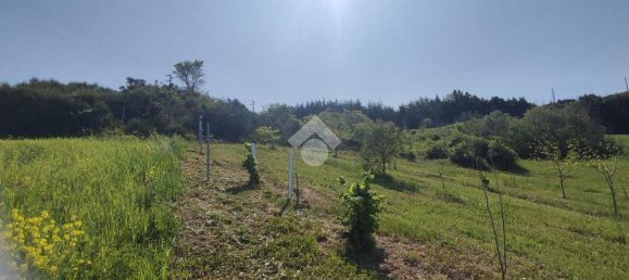 11000m² Land in Potenza, Italy No. 237625 11