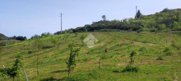11000m² Land in Potenza, Italy No. 237625 24
