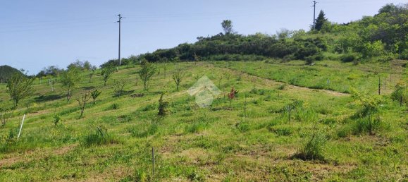 11000m² Land in Potenza, Italy No. 237625 14