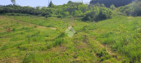 11000m² Land in Potenza, Italy No. 237625 13