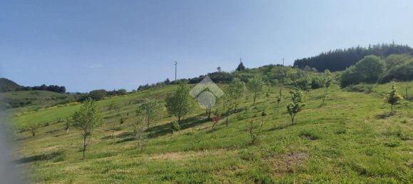 11000m² Land in Potenza, Italy No. 237625 15