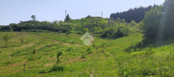 11000m² Land in Potenza, Italy No. 237625 18