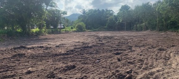  Land in Ko Samui, Thailand No. 33476 8