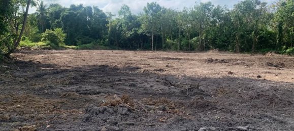  Land in Ko Samui, Thailand No. 33476 6